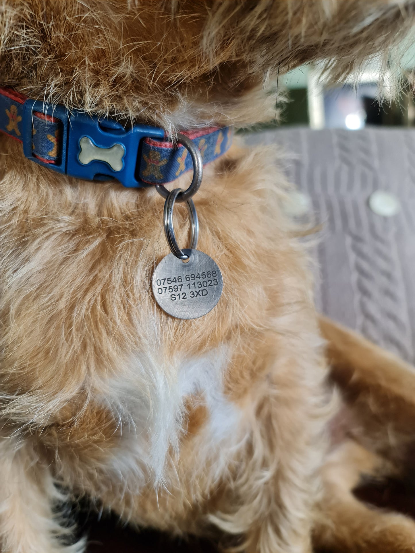 25mm Engraved Stainless Steel "Dog Bone" Pet ID Tag / ID Disc