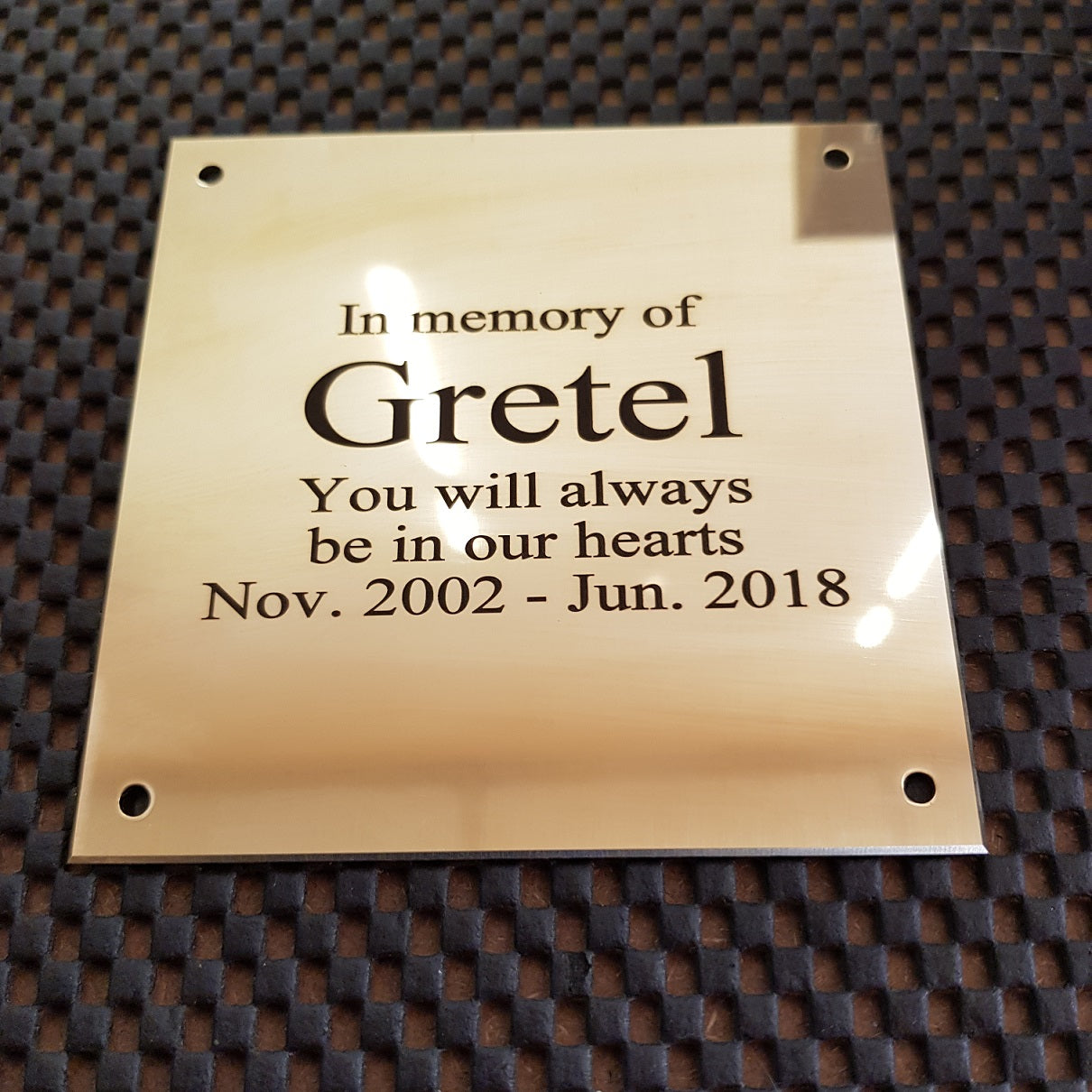 Personalised Engraved Polished Brass Plaques - WITH MOUNTING HOLES - EIGHTEEN Size Options